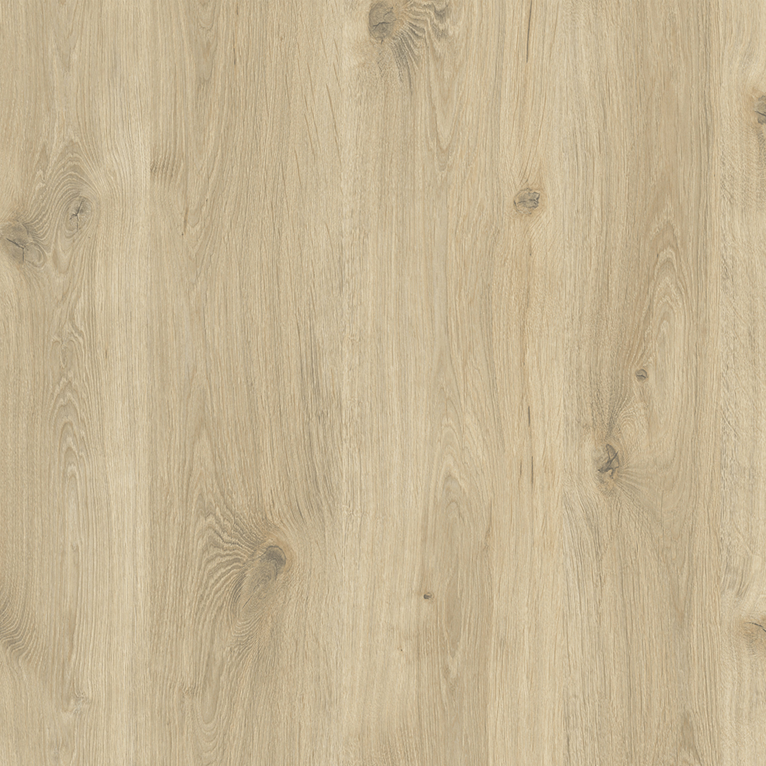 Oak naturel - D4428