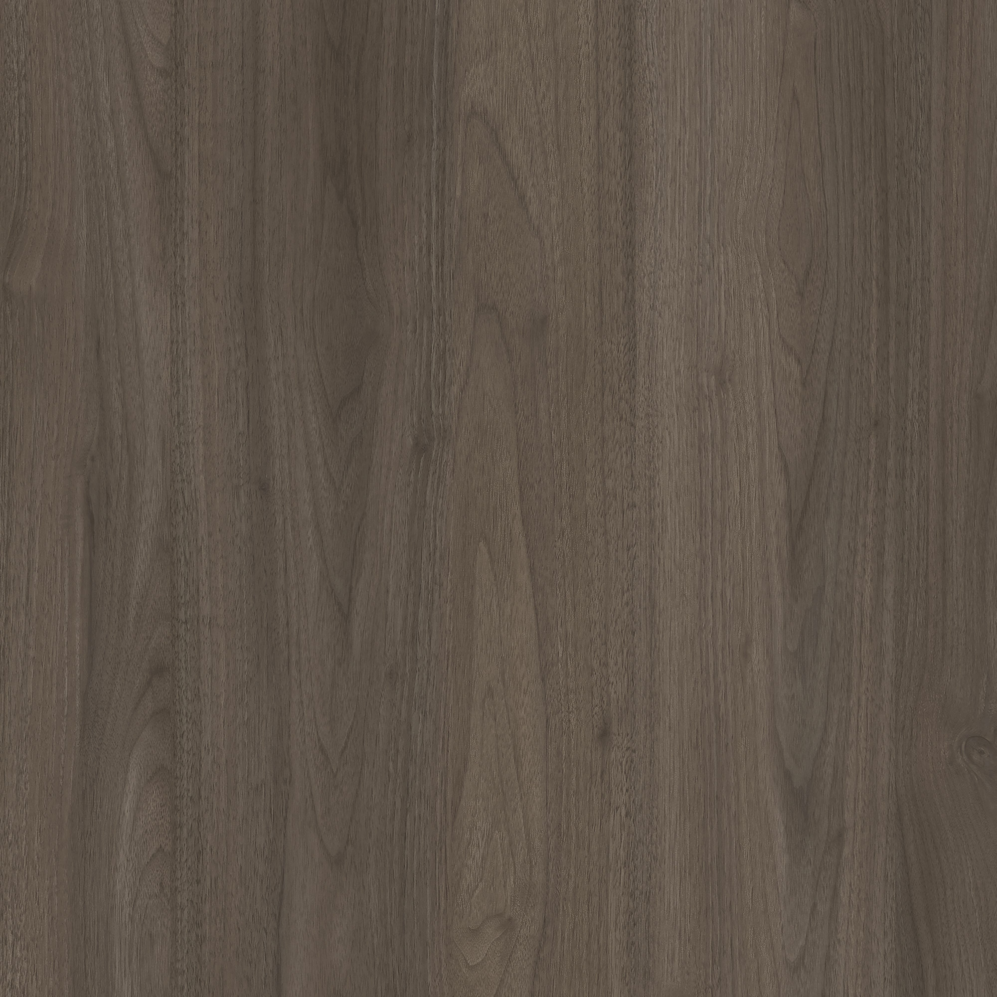 Calm Walnut Brown - D20150 OW