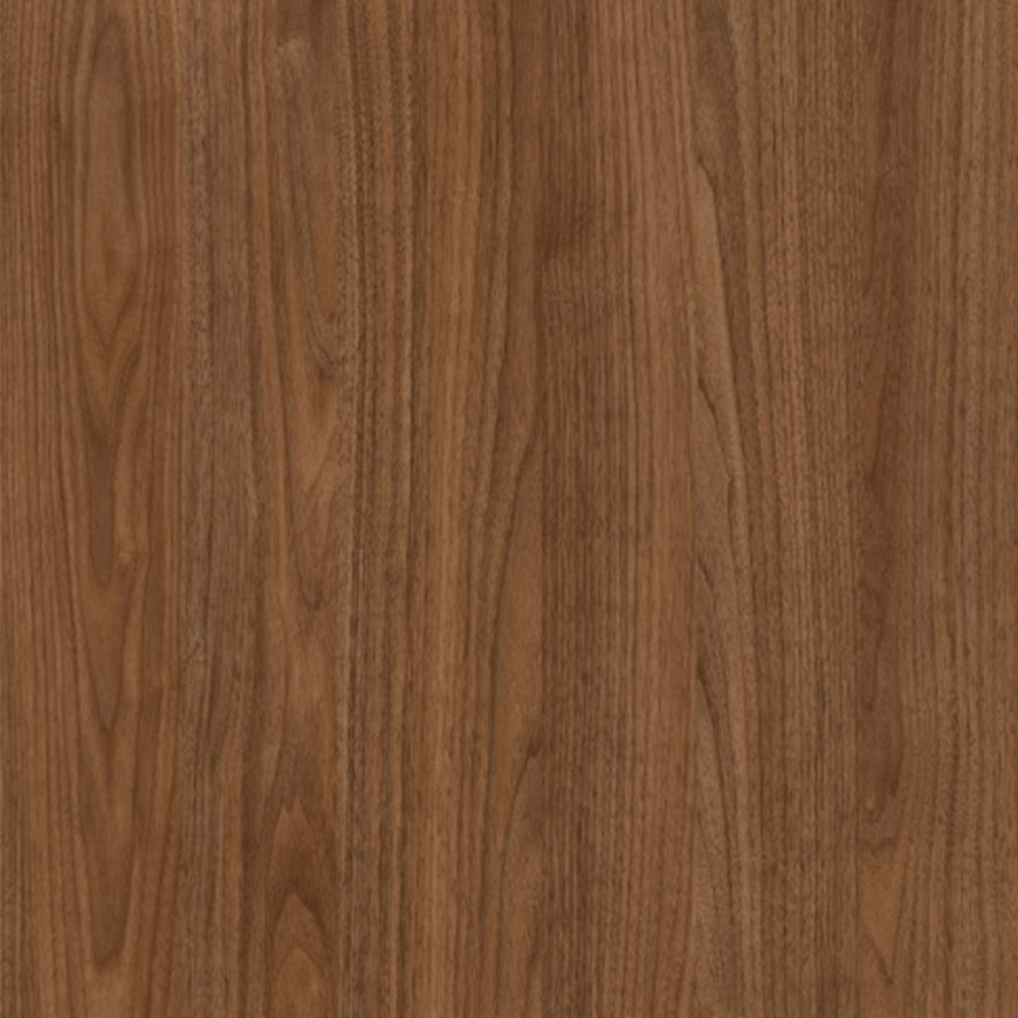 Nice Walnut - D3810